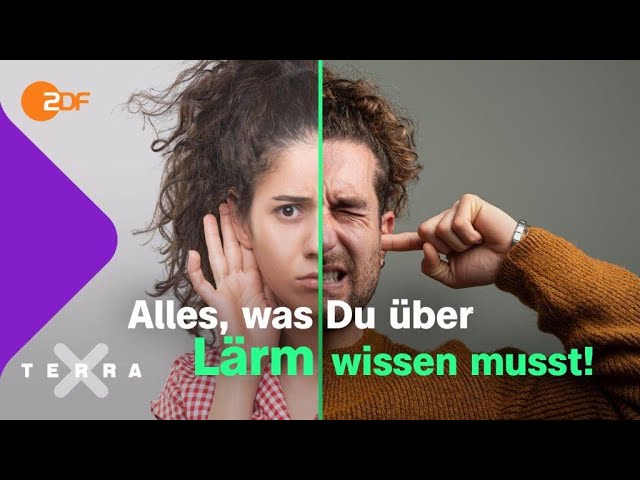 Video laden: Experten für Kopfschmerzen, Müdigkeit und Stadtlärm haben Ihre Umgebung untersucht und raten Ihnen: